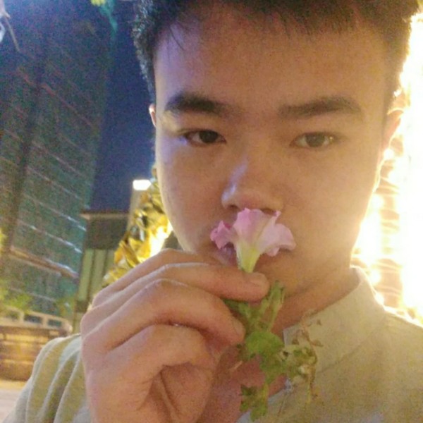 梦屿孤独相伴的照片
