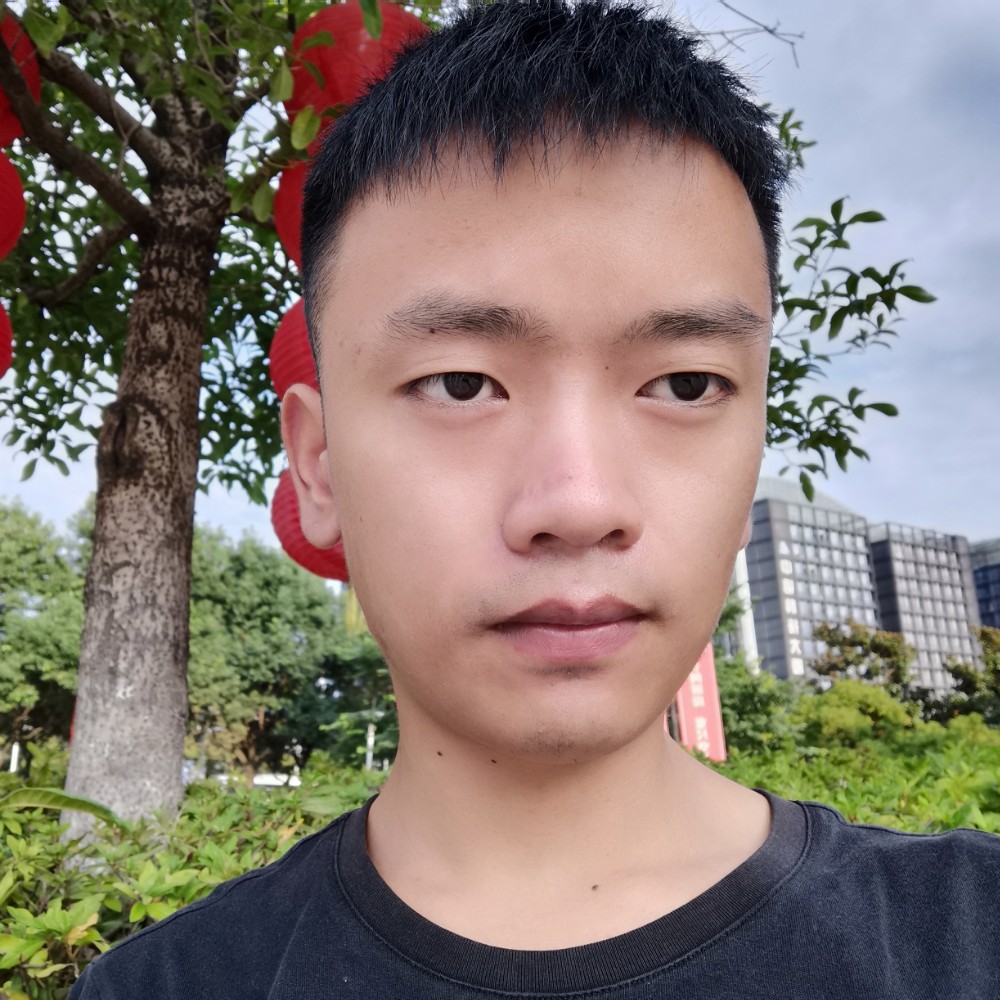 刺猬爱恋体贴的照片