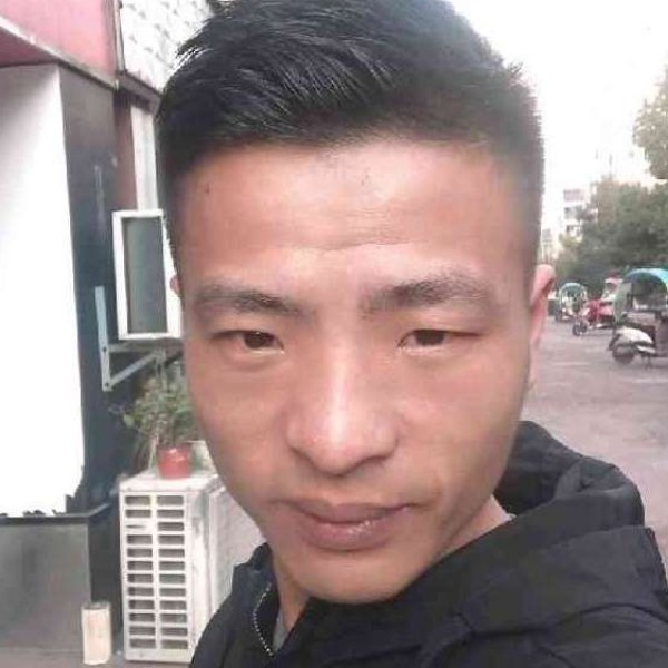 草莓有震动的照片