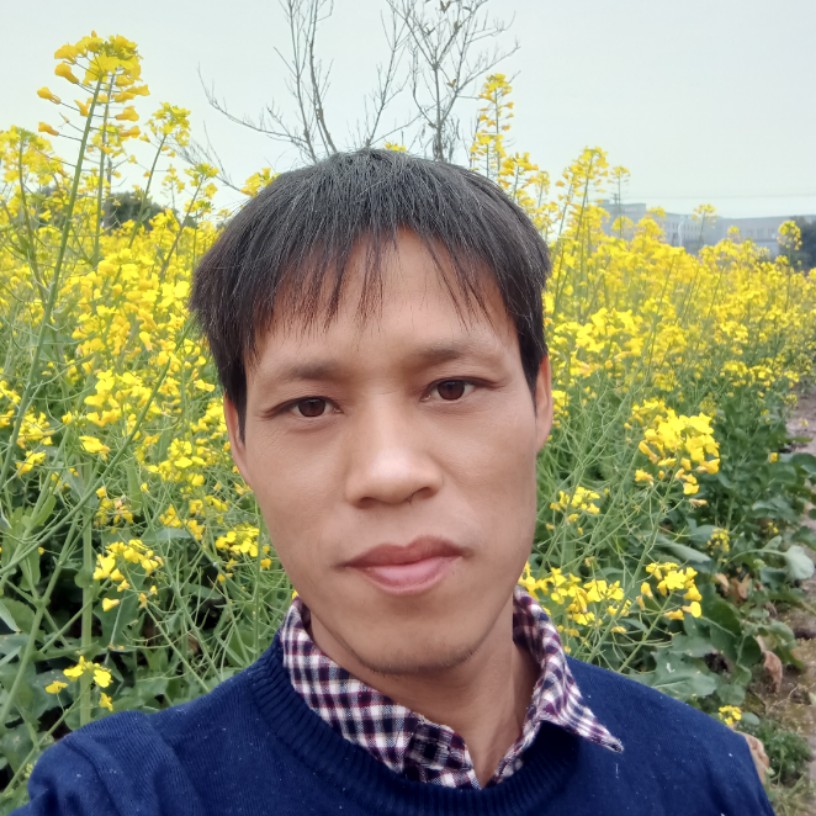 宽阔的海的照片