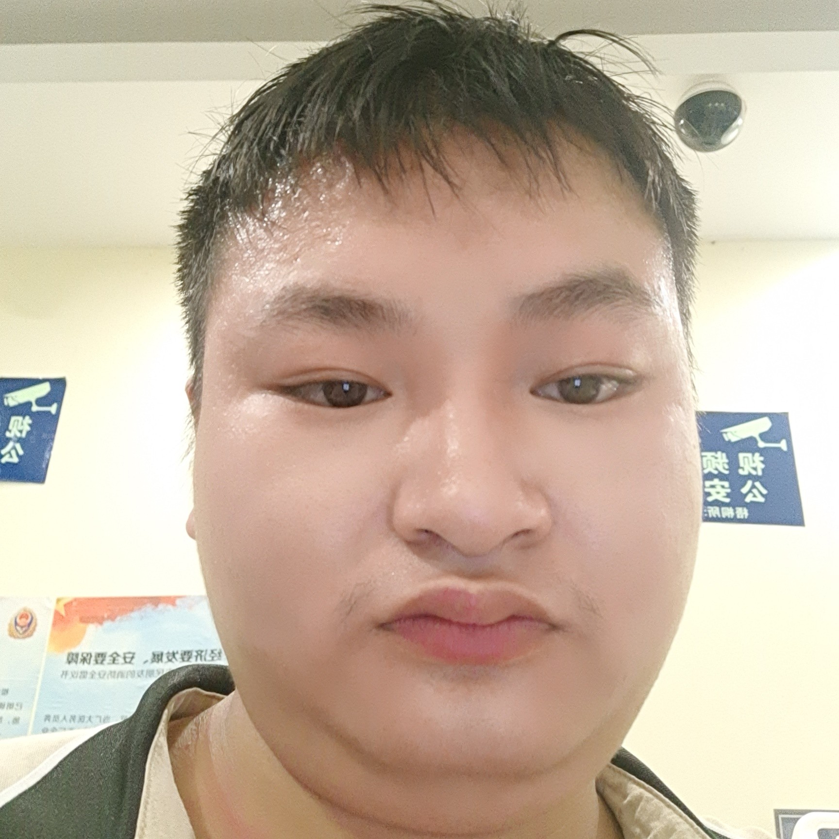 爱情漫步流年的的照片