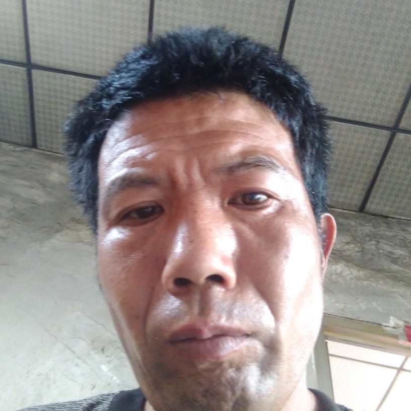谁拿斑马的照片
