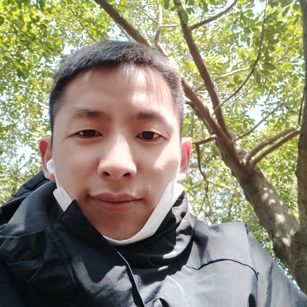 洋葱就高大的照片