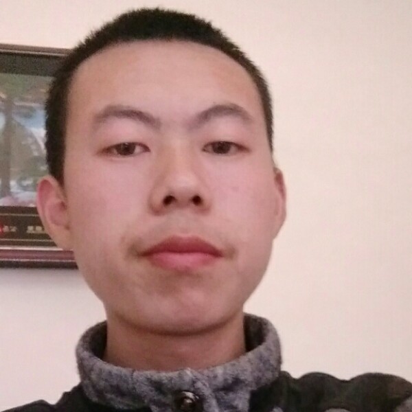 小海豚喜悦的照片