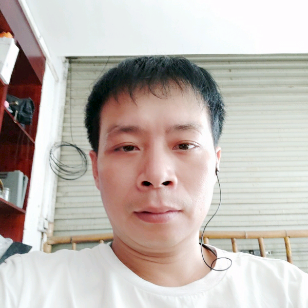 大炮斑驳的照片