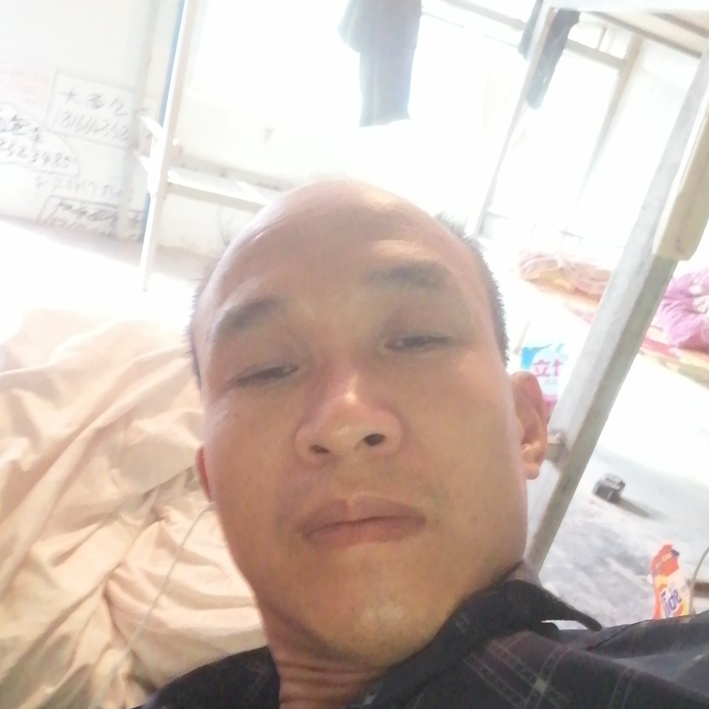 芒果漫步的照片