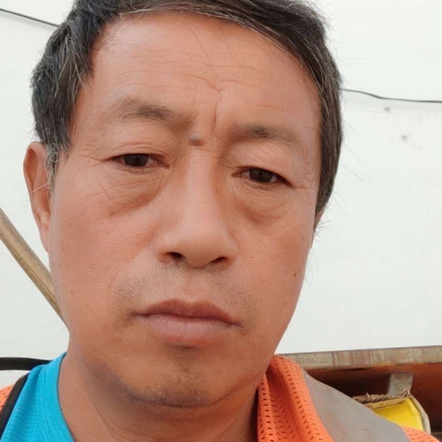 老马善缘的照片
