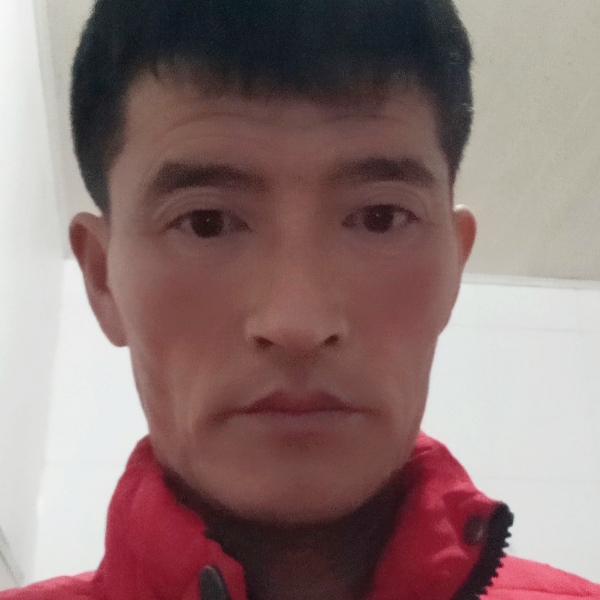 听话衬衫的照片