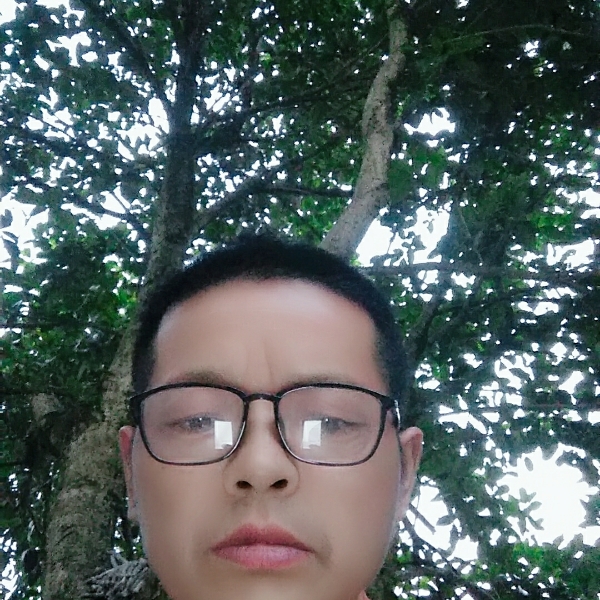 专一回眸电话的照片