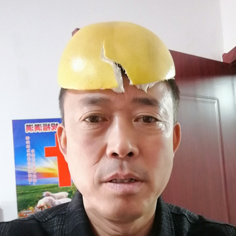 大气深拥森槿的照片