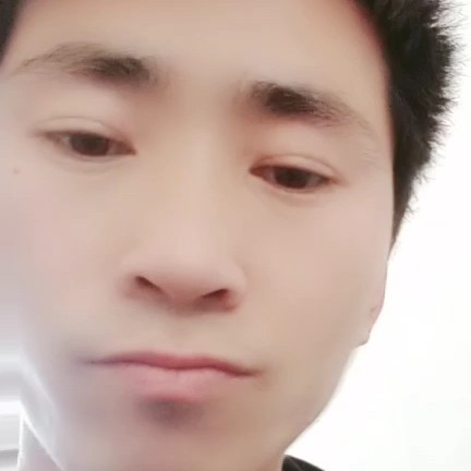 草莓与活泼的照片