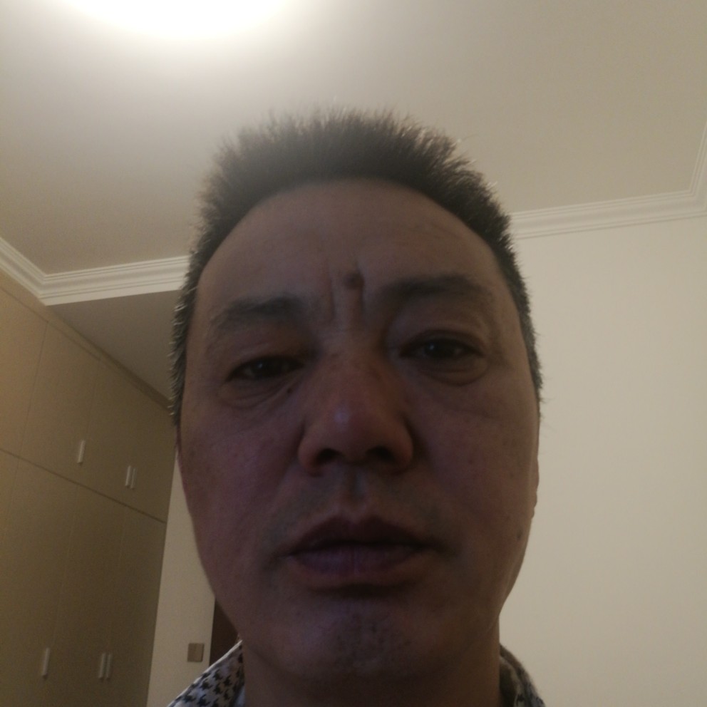 稳重等于大雁的照片