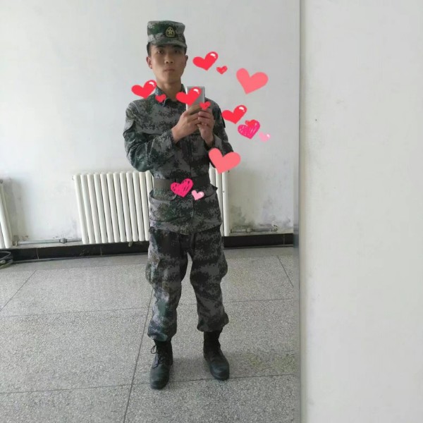 飞 ，的照片