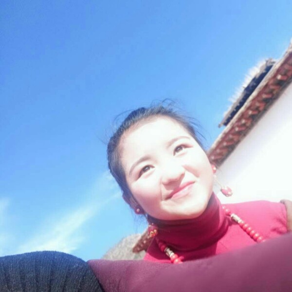 抬头阳光依然温柔的照片