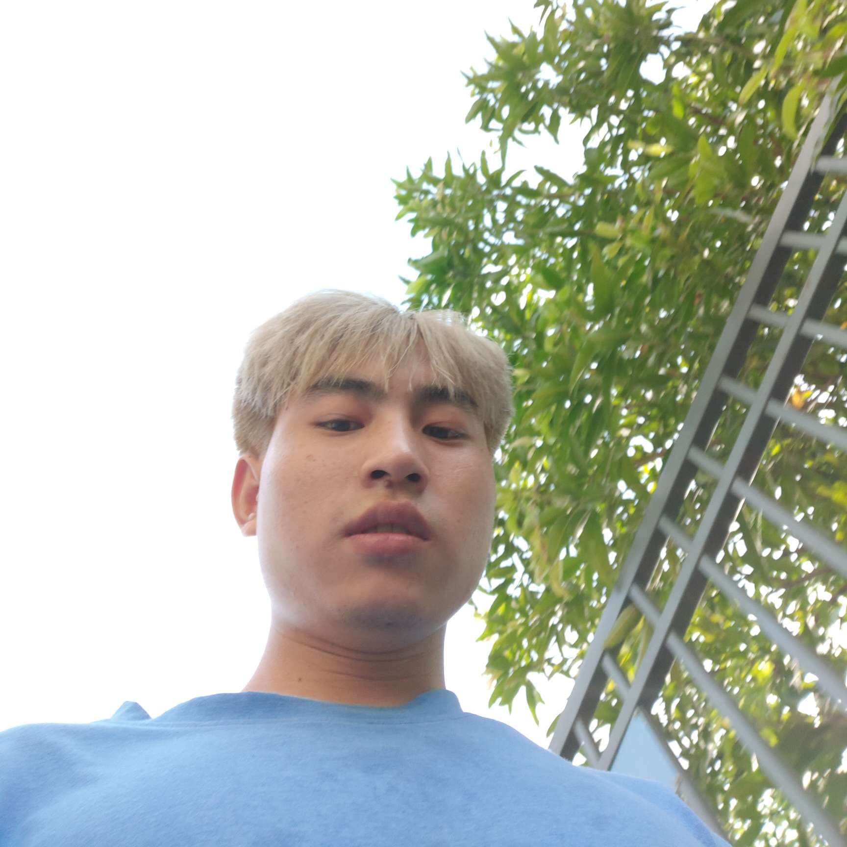 会员440227981的照片