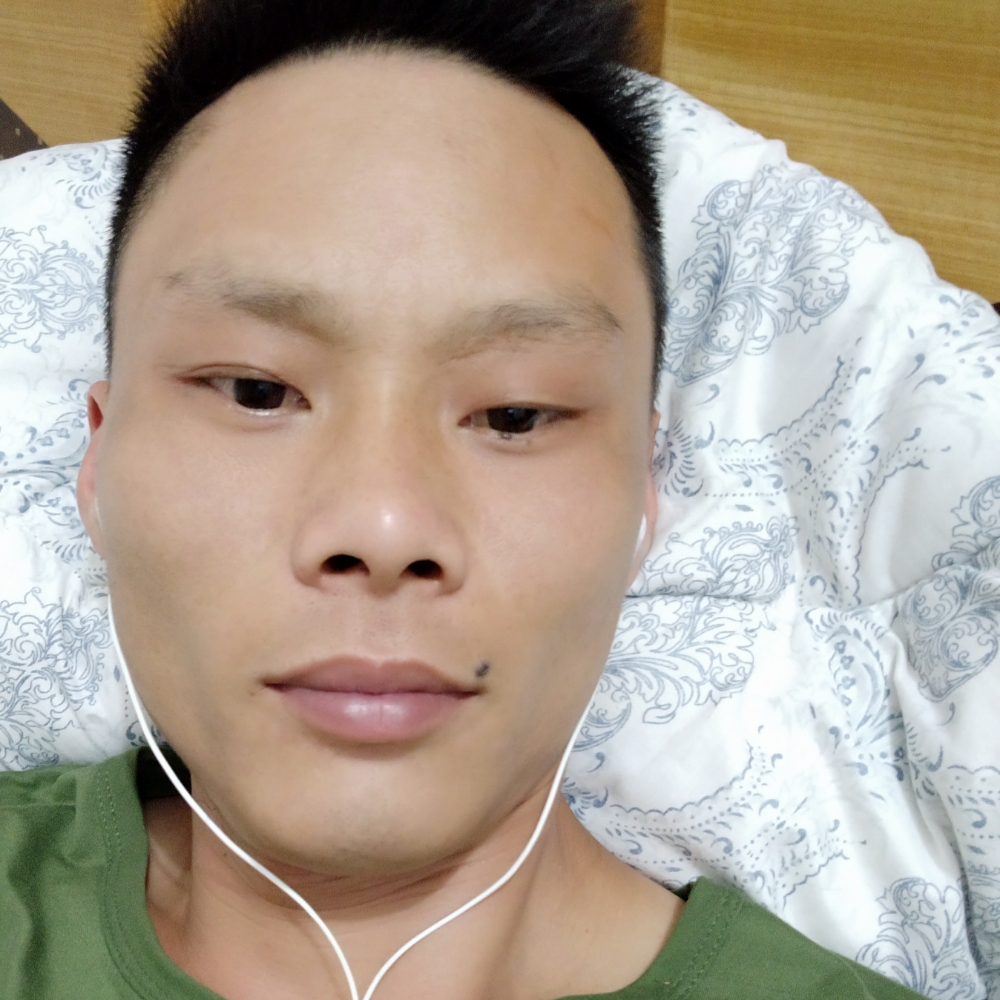 晨阳等待的照片