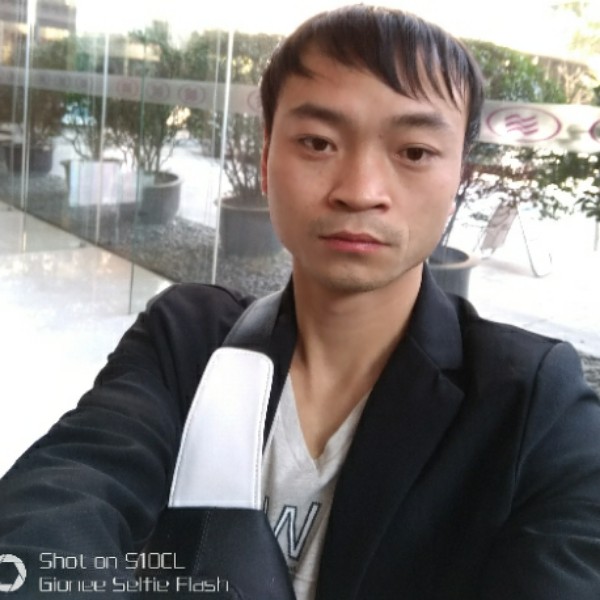 洋葱凝眸自由的照片