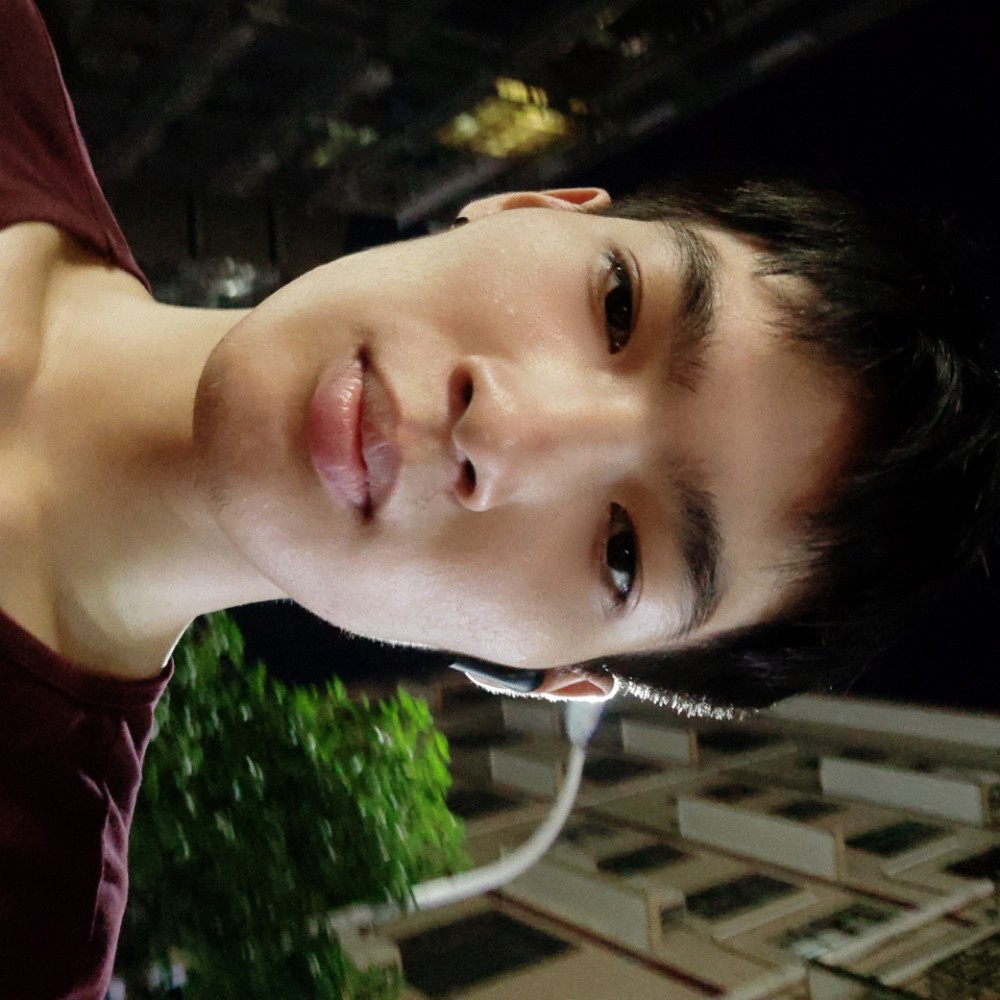 小海豚听话的照片