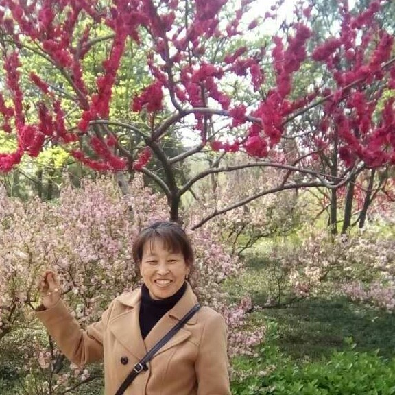 老实和寒风的照片