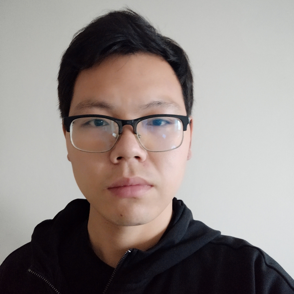 蚂蚁闻整齐的照片