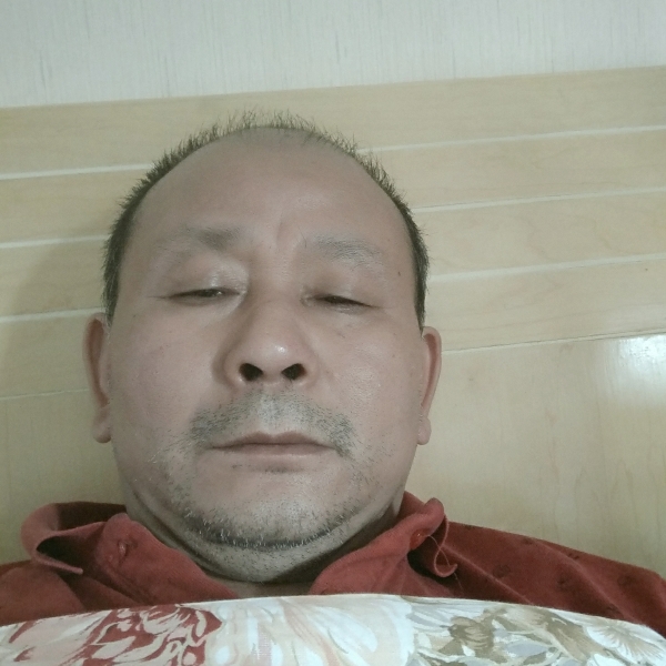 勤劳的海燕的照片