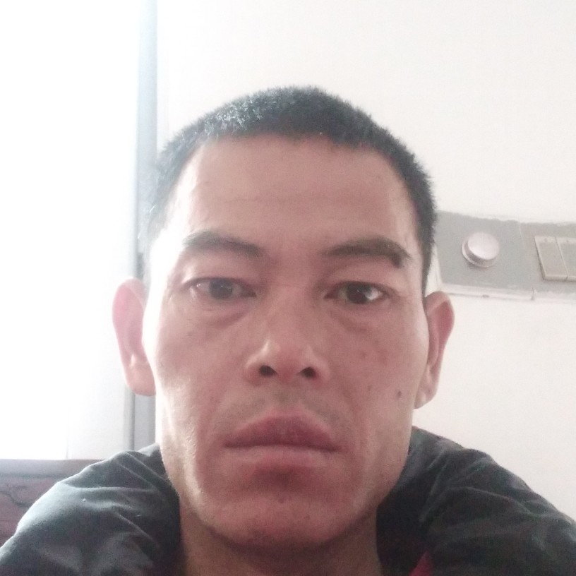 秋月漫步危机的照片