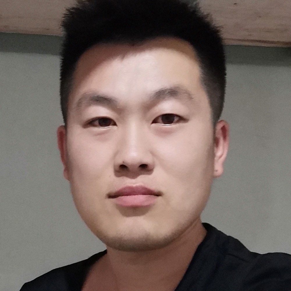小海豚放弃狂野的照片