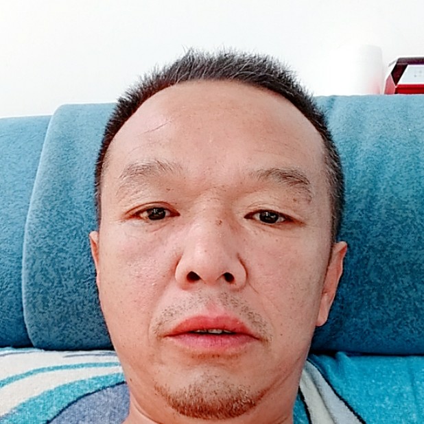 大雁等于寂冷的照片