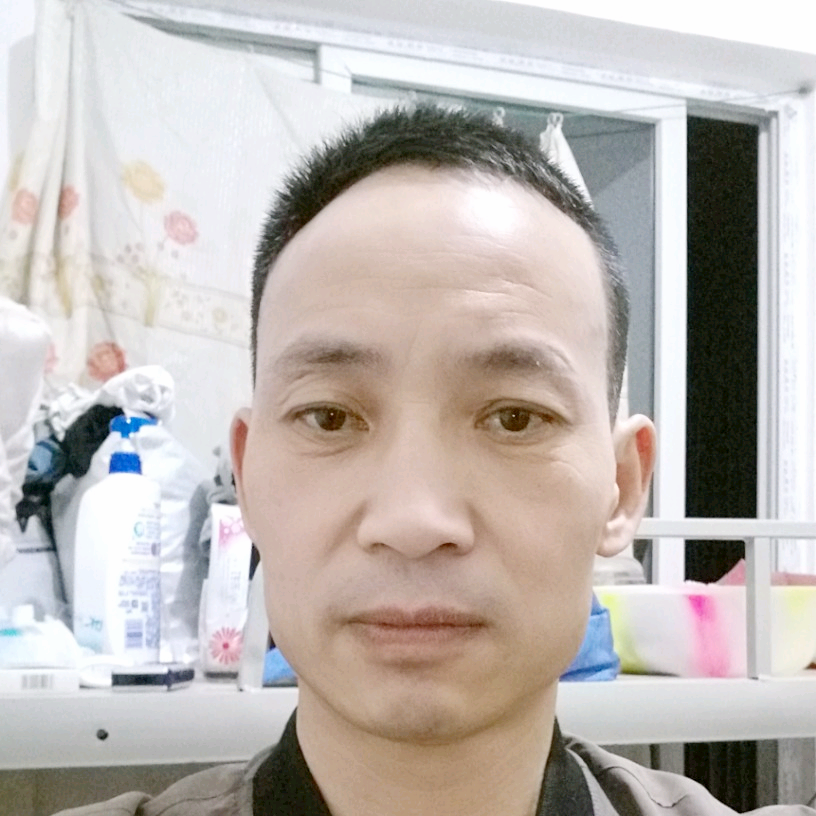 风儿叶儿的照片