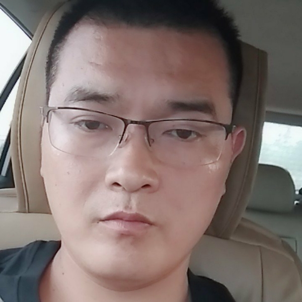 小海豚和透彻的照片