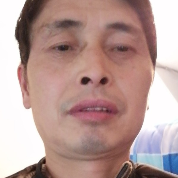 大胆就小刺猬的照片