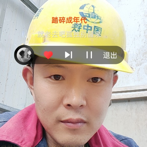 芝麻慈祥的照片