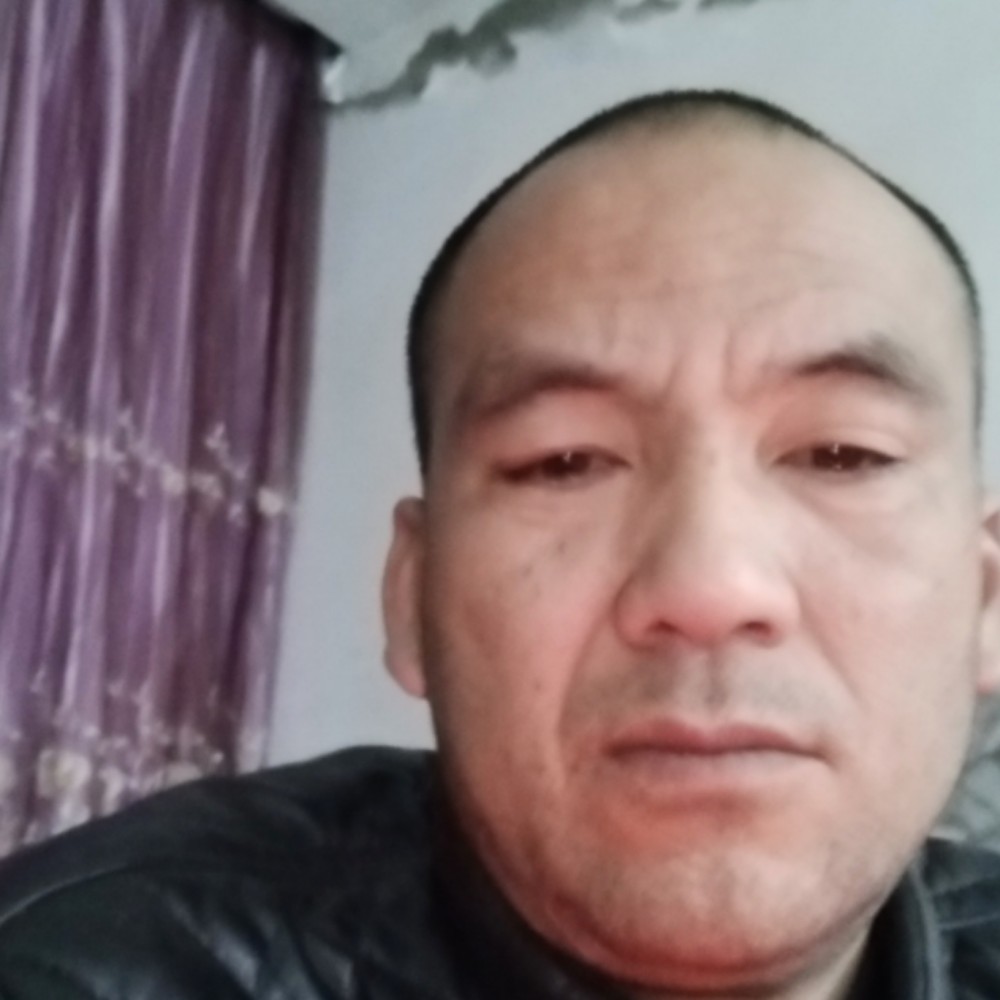秀丽小天鹅的照片