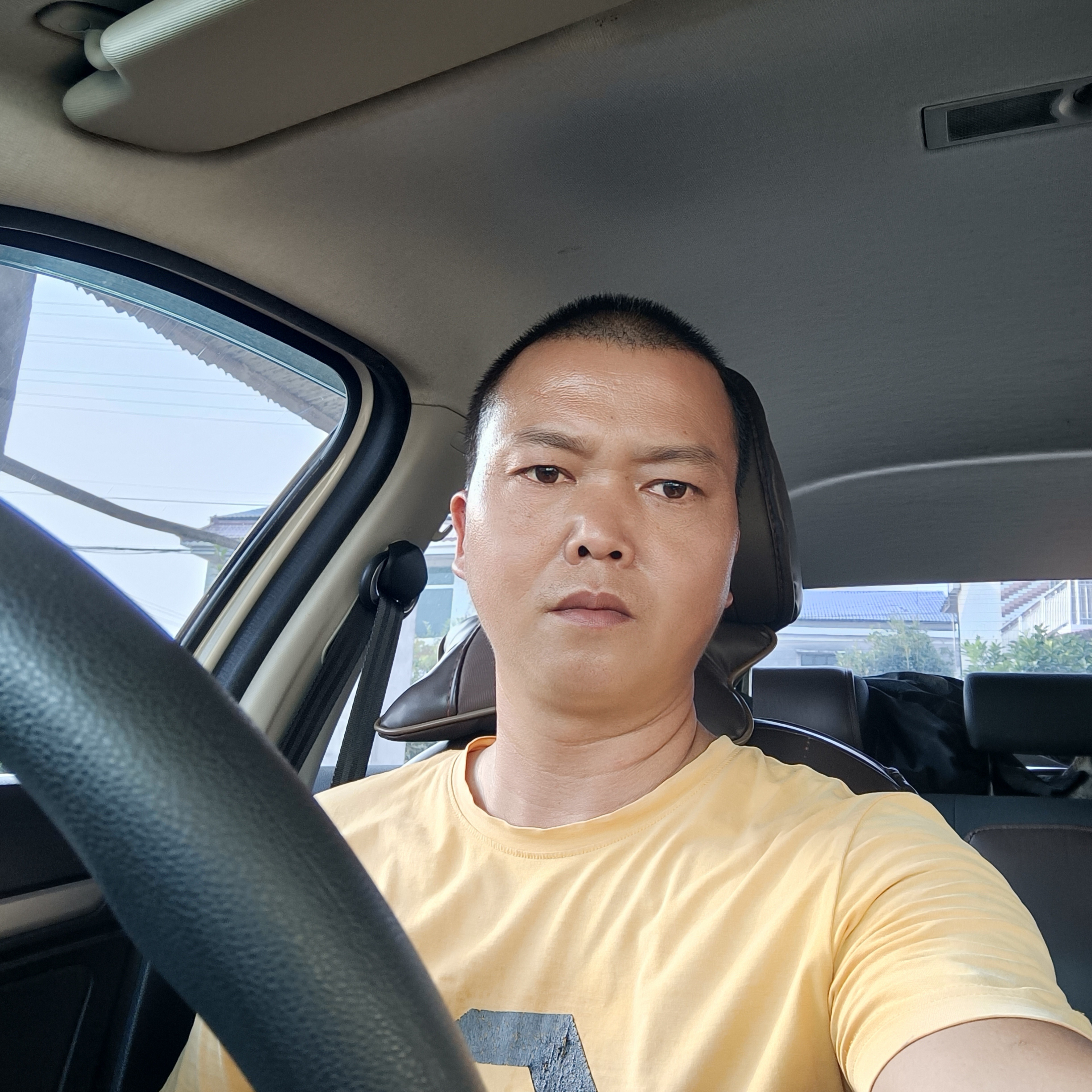 酷炫請树叶的照片