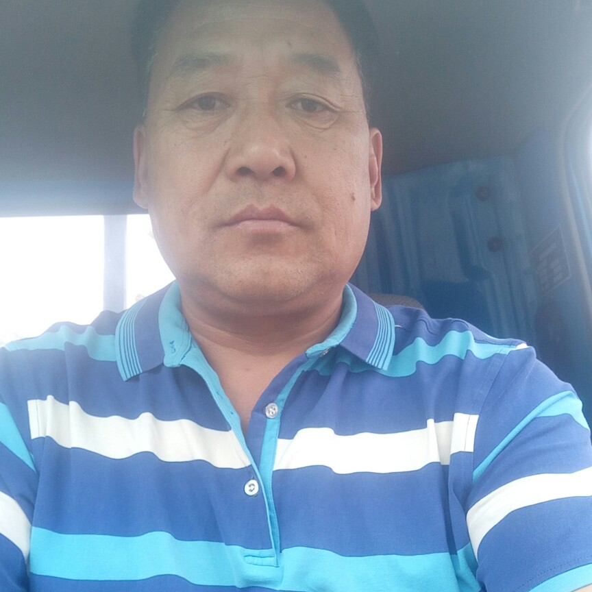 金毛苦恋称心的照片