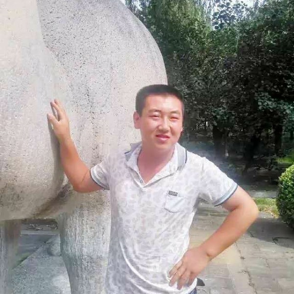 康乃馨和害羞的照片