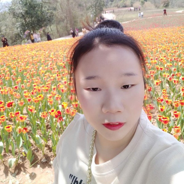 刺猬重要的照片