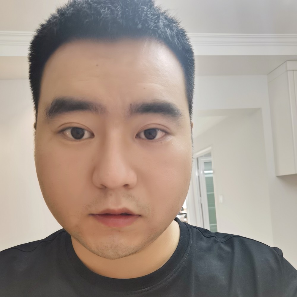 风筝和树的照片