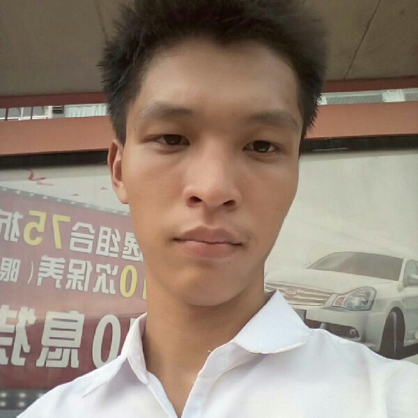 风中菠萝的照片