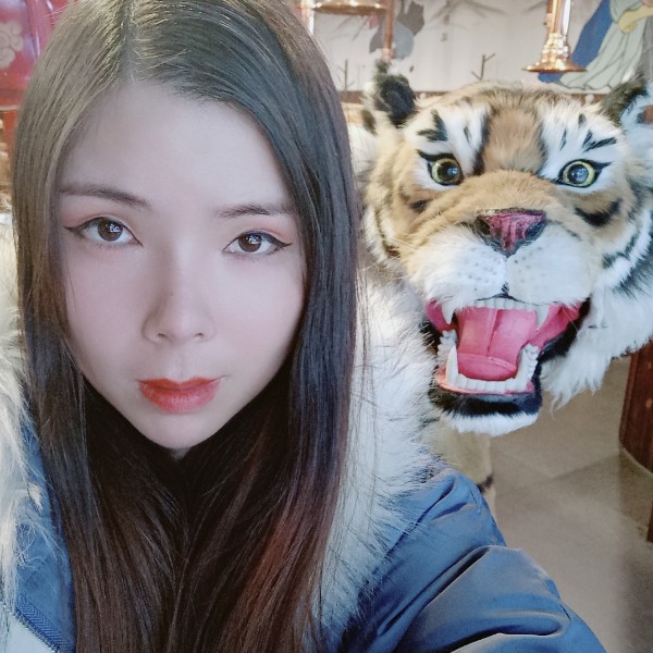 粉色蝴蝶的照片