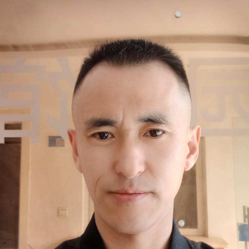 枫叶舒适的照片