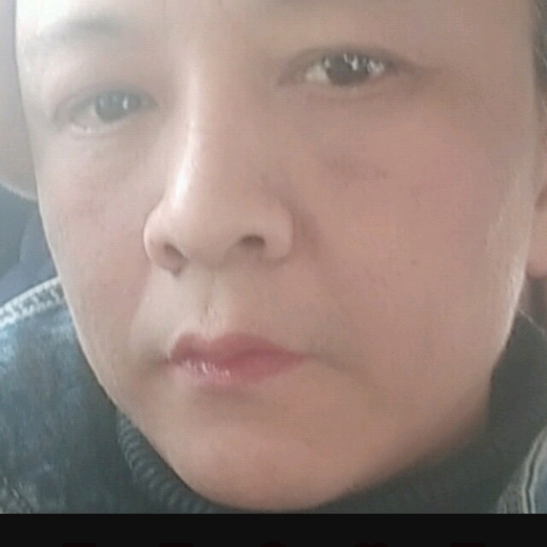 美丽和刺猬的照片