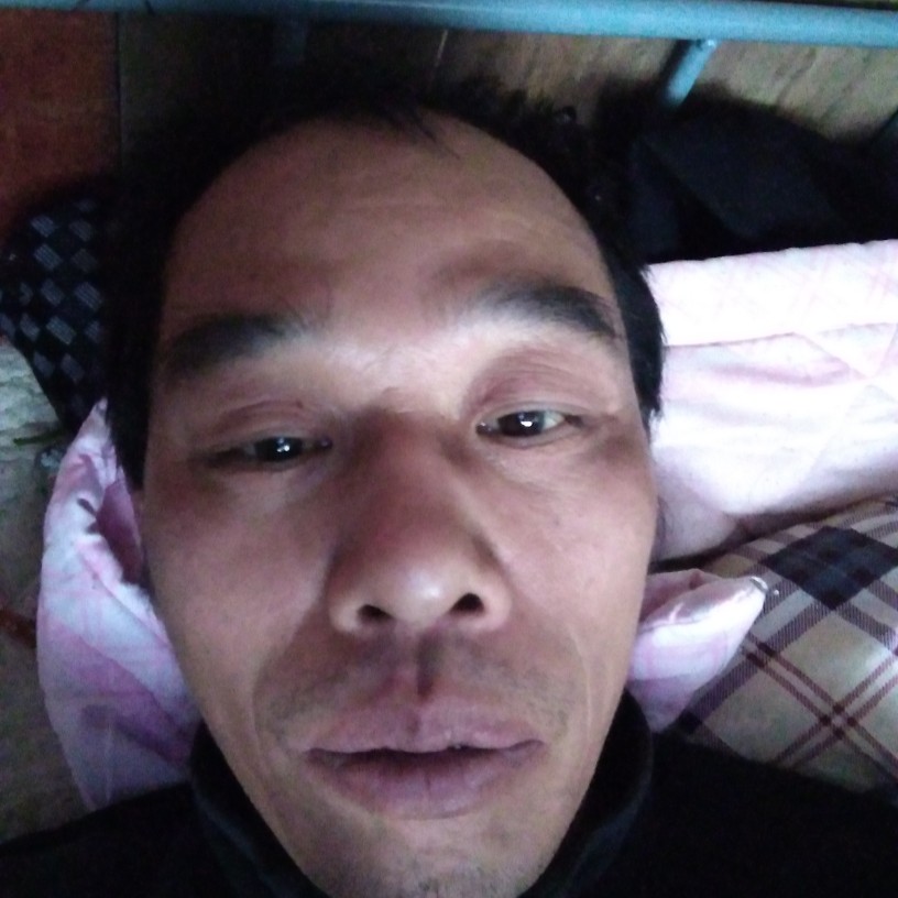 亲情树叶的照片