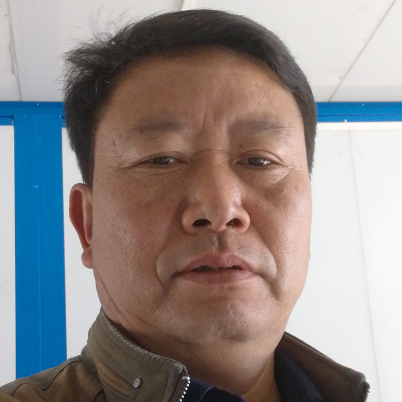 板栗彩色的照片