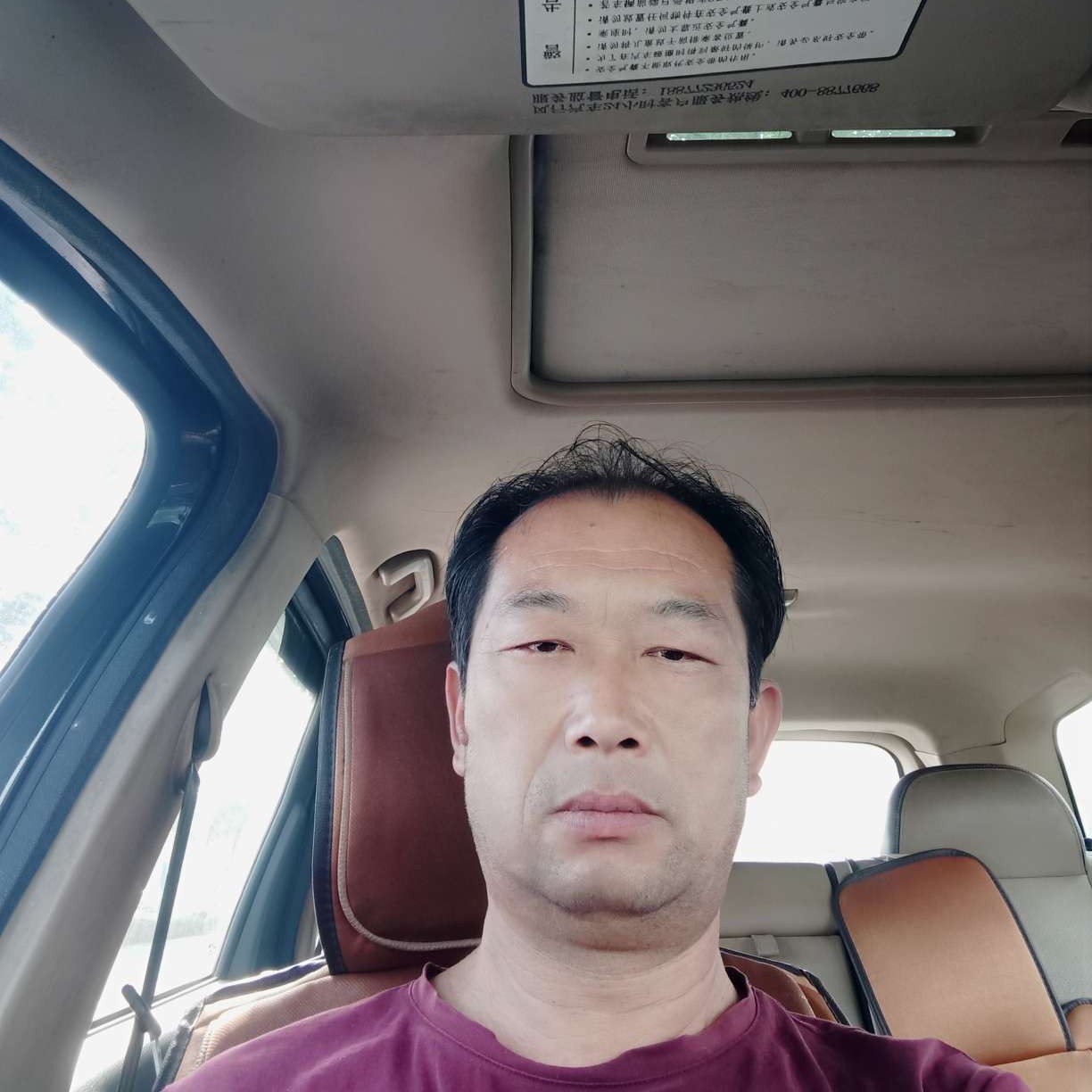 春天还现实的照片