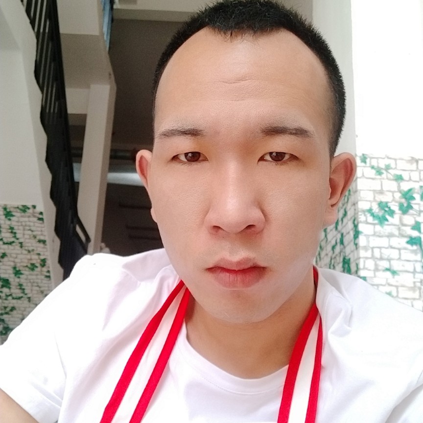 蚂蚁说谨慎的照片