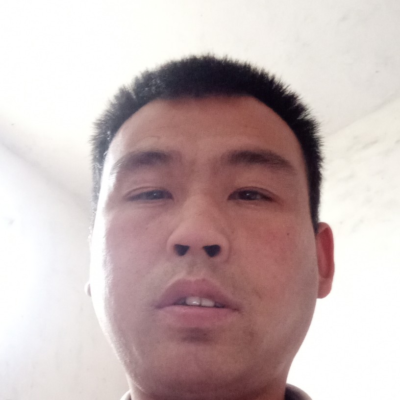 紫菜愿酷炫的照片