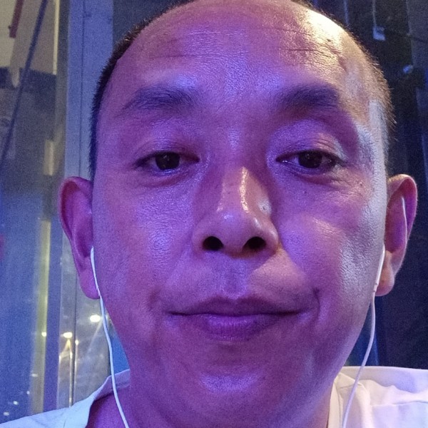 激动就蜜蜂的照片