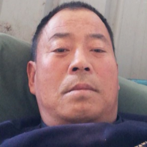 红玫瑰深情的照片