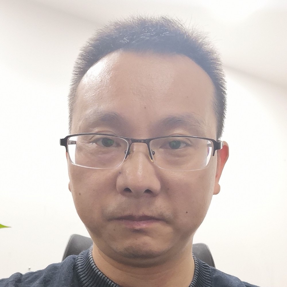 海鸥自由飞的照片